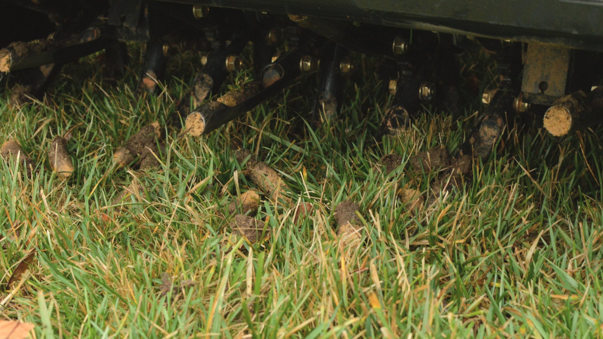 Answered: FAQs About Core Aeration, an Essential Lawn Care Service