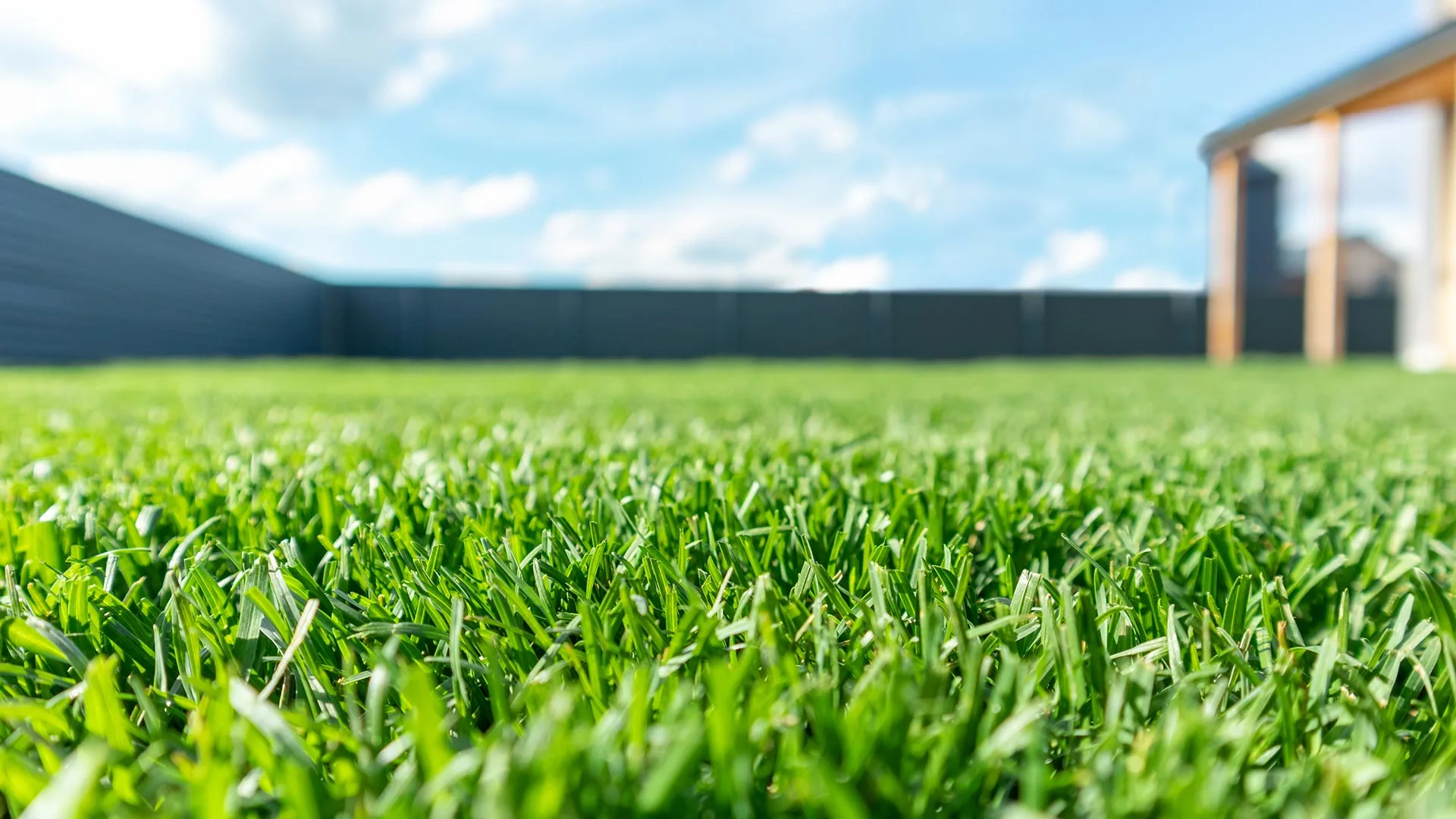 Fertilized lawn for a home in Delaware, OH.