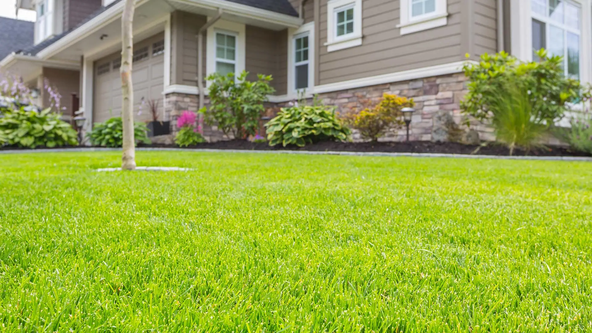 Sun beaming over a healthy lawn in Ohio.