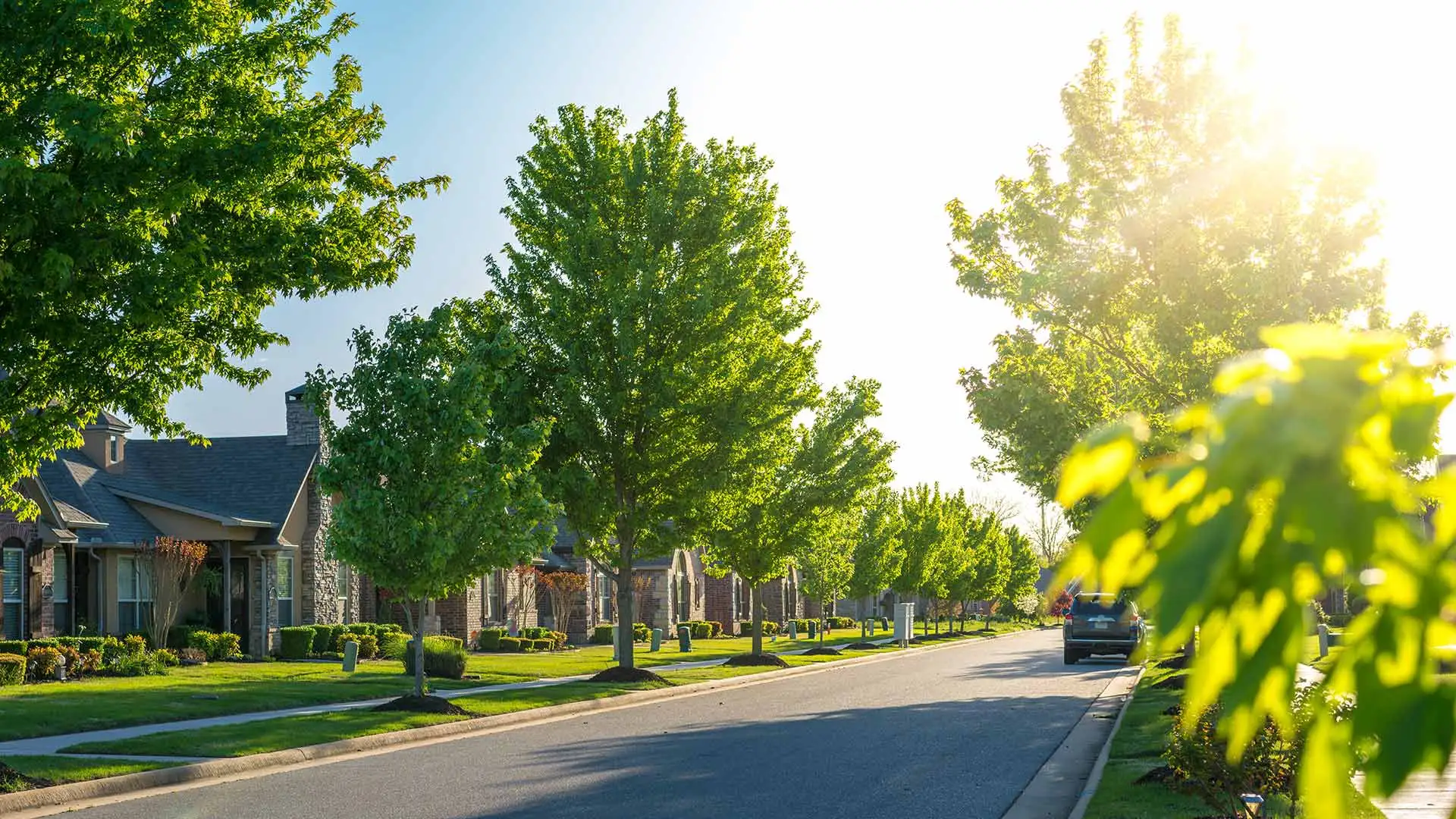 Neighborhood street with sun peaking through trees in Lewis Center, OH.