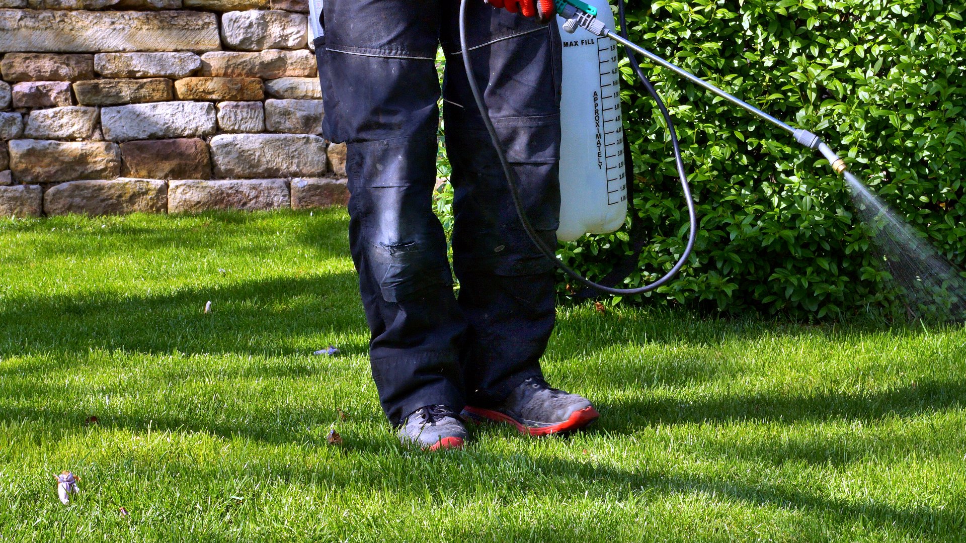 Are Professional Perimeter Pest Control Treatments Worth It?