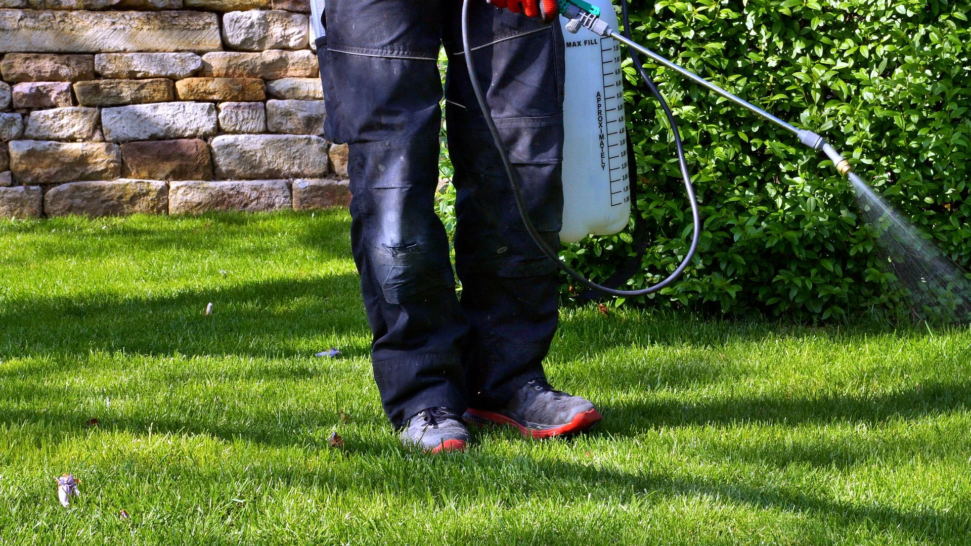 Are Professional Perimeter Pest Control Treatments Worth It?