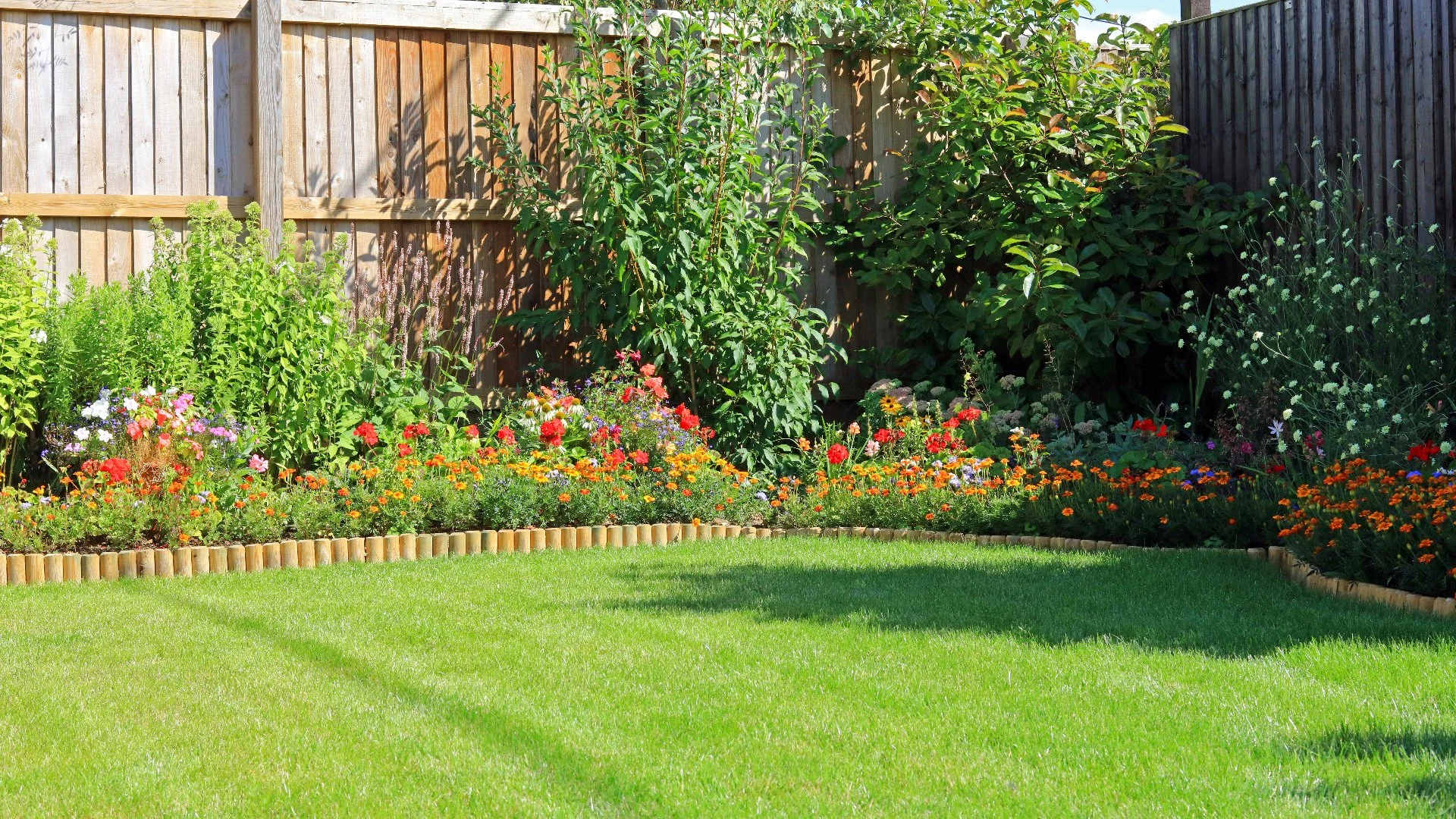 These 3 Macronutrients Are Essential Components of Lawn Fertilizers!