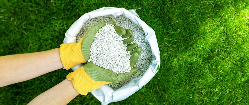 Gloved professional holding granular fertilizer pellets in Westerville, OH.