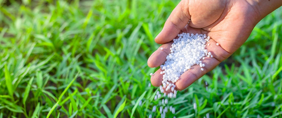 Granular fertilizer pellets in a professional's hand in Lewis Center, OH.