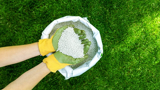 Gloved hands holding granular fertilizer pellets in Columbus, OH.