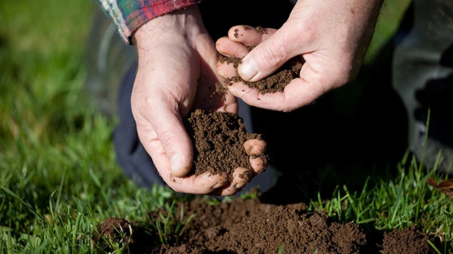 A professional handling soil in lawn in Westerville, OH.