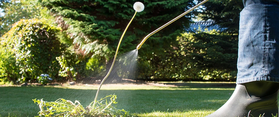 Technician spraying dandelion weed in a lawn in Gahanna, OH.