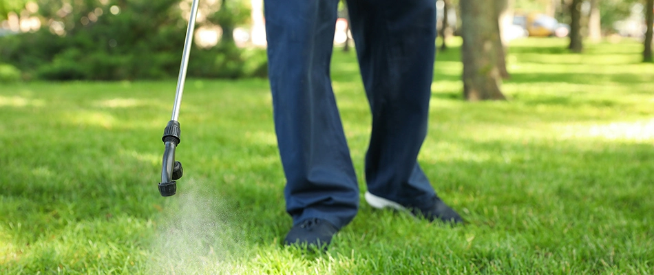 Technician applying flea and tick control to lawn in Delaware, OH.