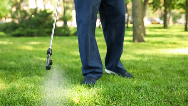 A technician spraying lawn with weed control in Delaware, OH.