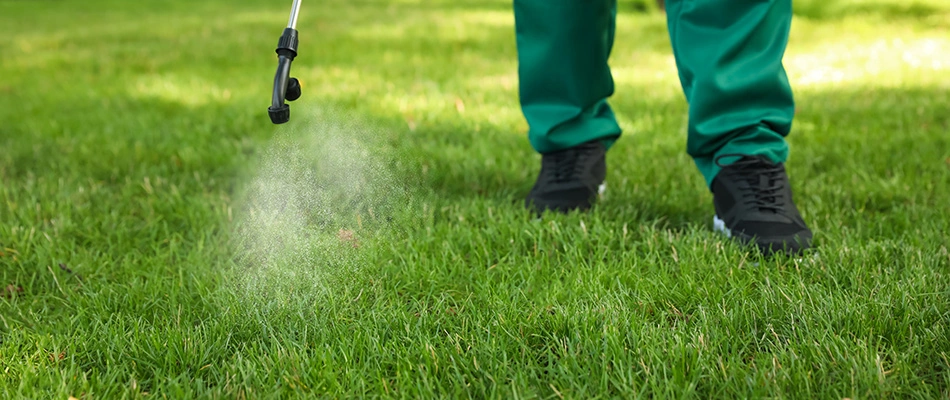 Technician spraying treatment to a lawn in Columbus, OH.