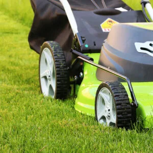 Lawn mower in lawn.