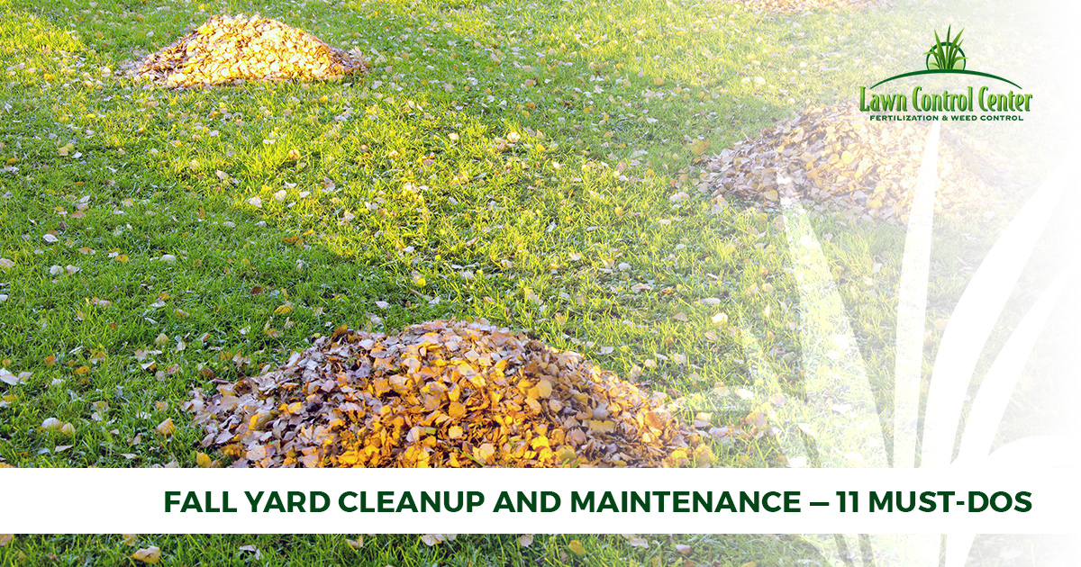Fall Yard Cleanup And Maintenance - 11 Must-Dos