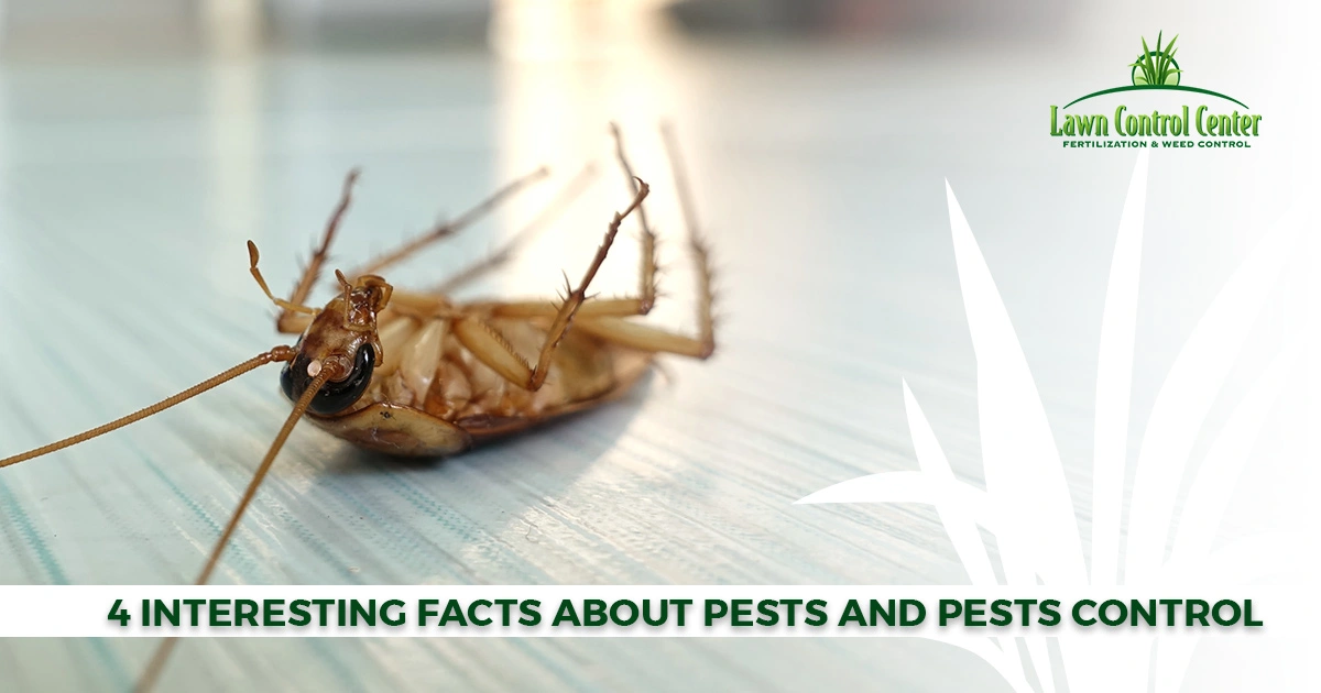 4 Interesting Facts About Pests And Pests Control
