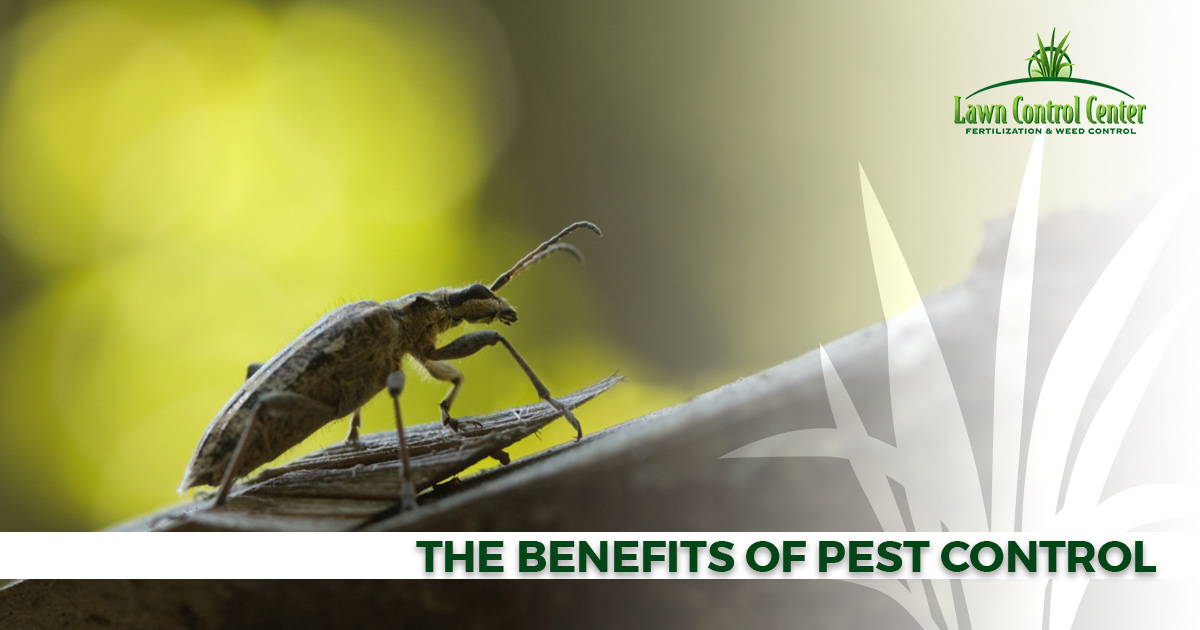 The Benefits Of Pest Control