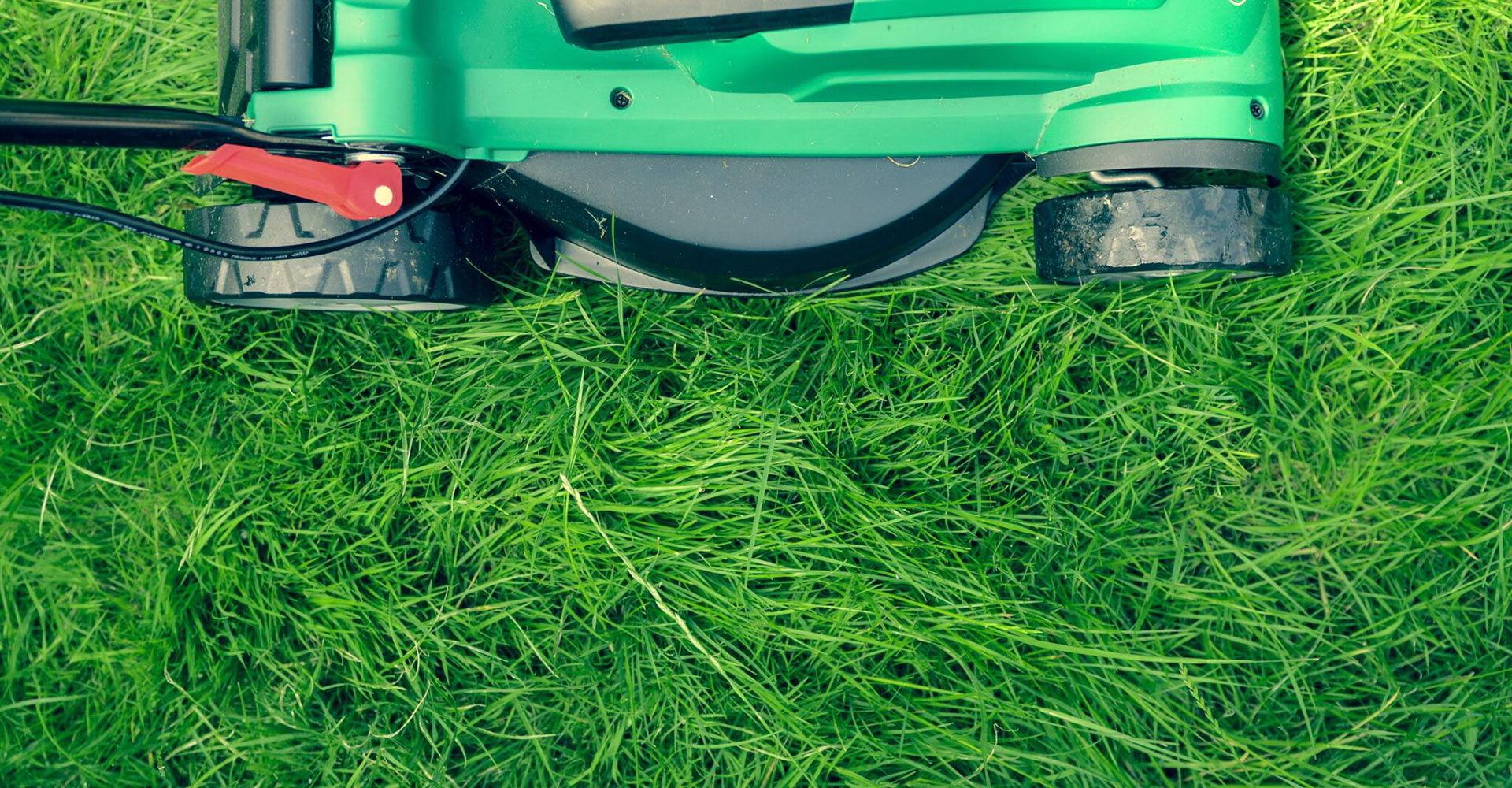 5 Ways To Get Your Lawn Ready For The Summer
