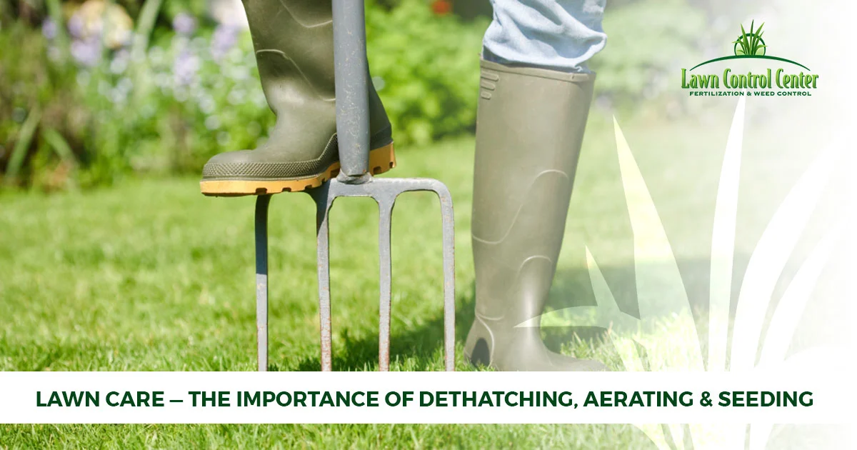 Lawn Care Cleveland - the Importance Of Dethatching, Aerating & Seeding