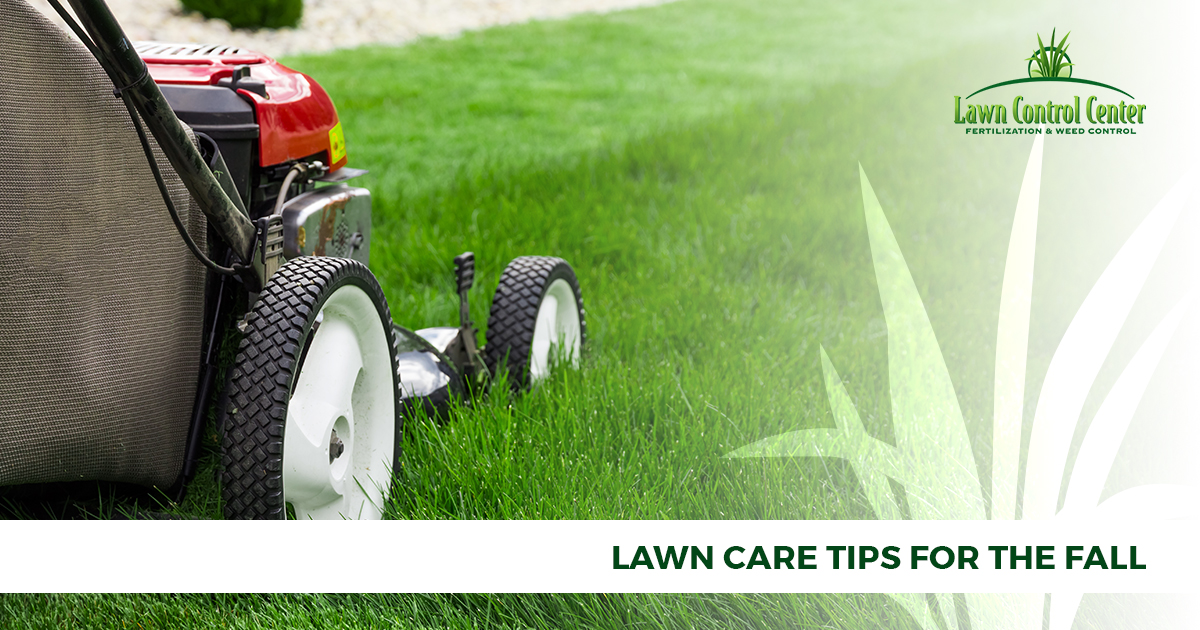 Lawn Care Tips For The Fall