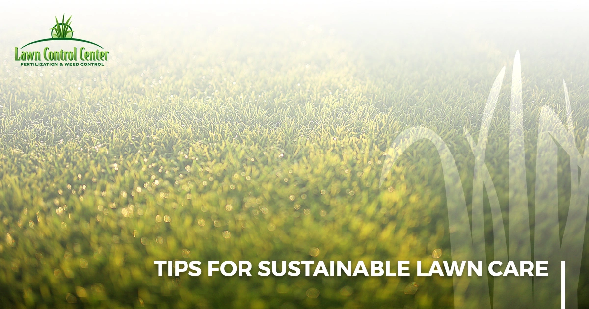 Tips For Sustainable Lawn Care